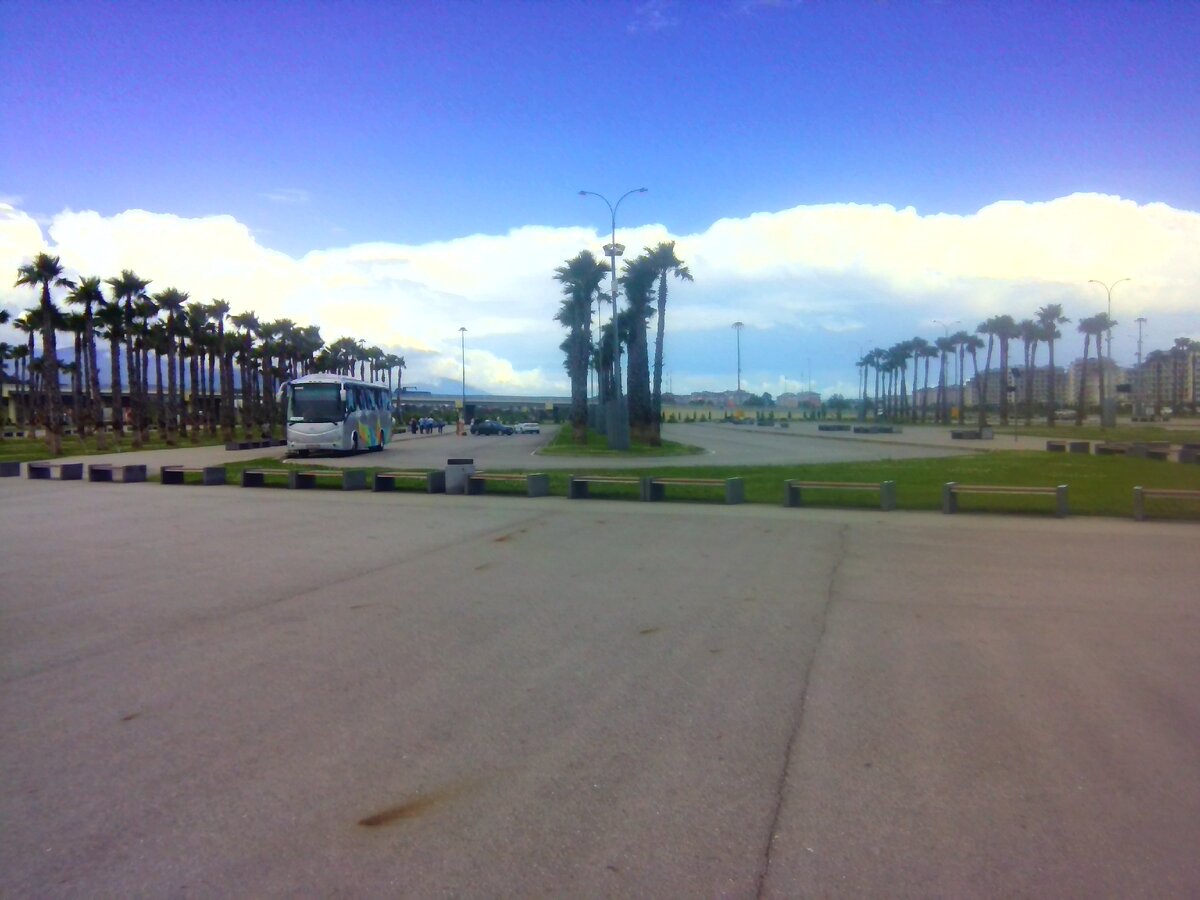 Пальмы и красивый вид. Завораживает