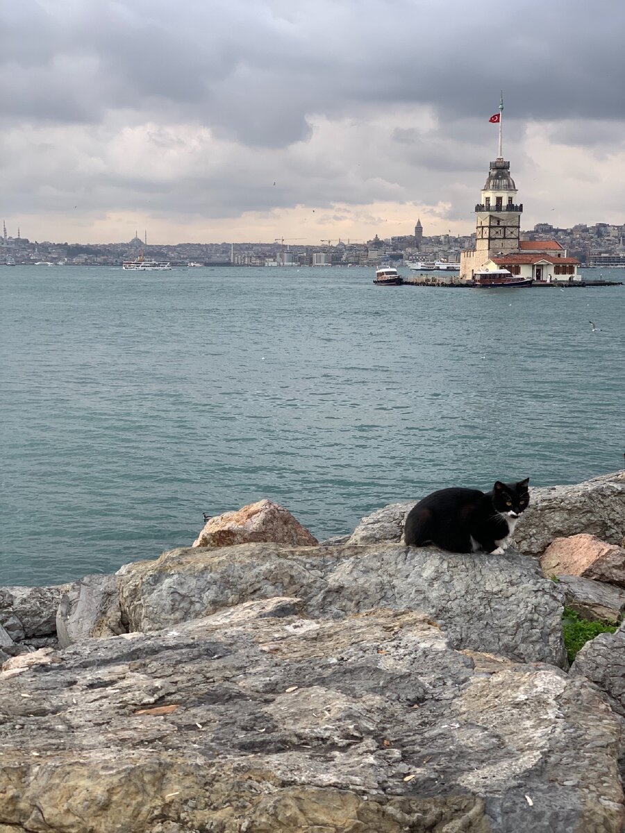 Девичья башня