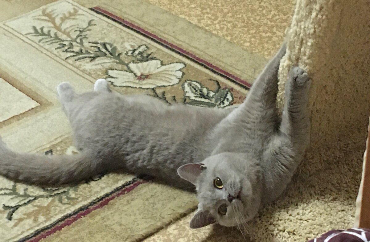 Фото из личного архива