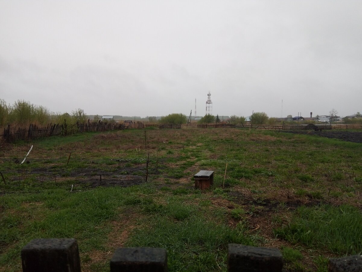 Пятый снимок из годовой серии.