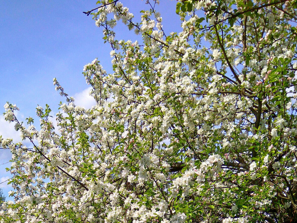 Фото из архива автора