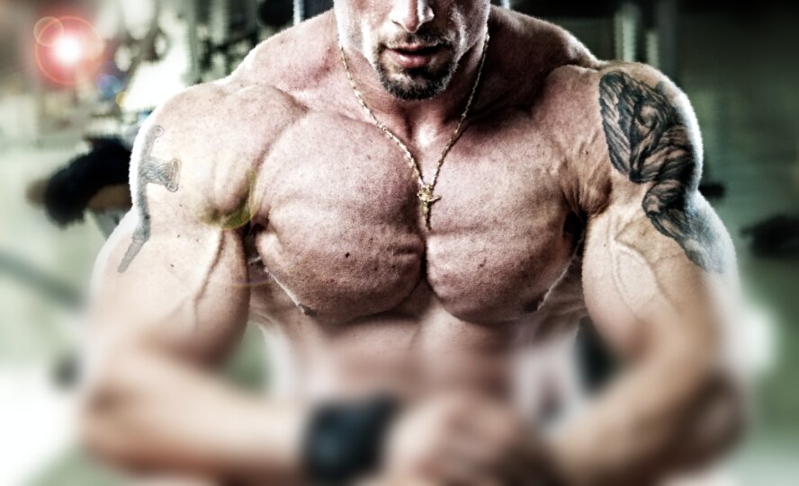 Широкие и круглые плечи! Источник: https://unsplash.com