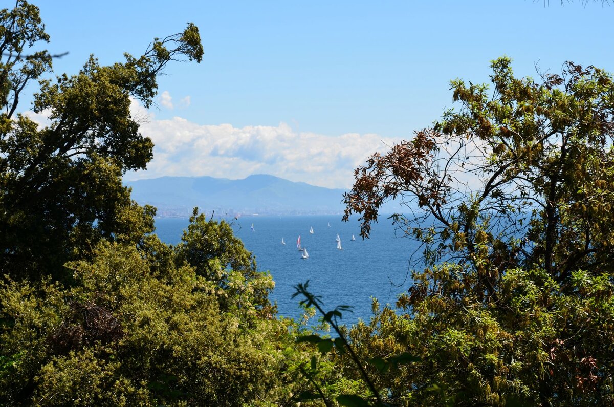 
Фото: Анна Черткова