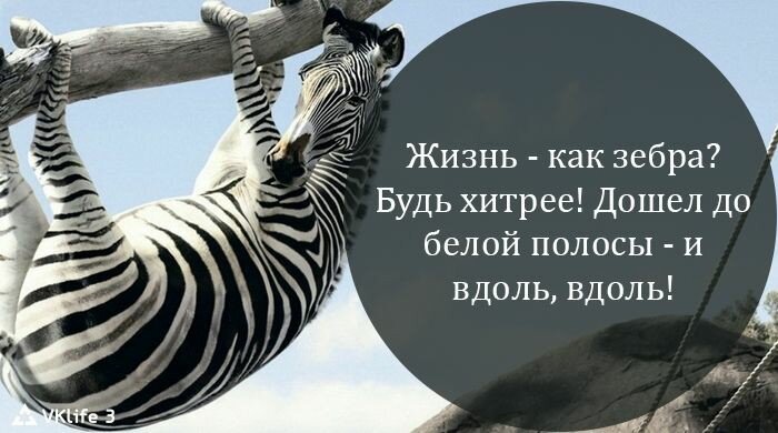 Будь хитрее (картинка взята из открытых источников)