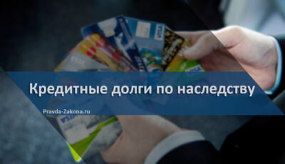 фото из открытого источника яндекс картинки
