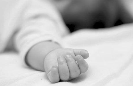 Фото взято из интернета