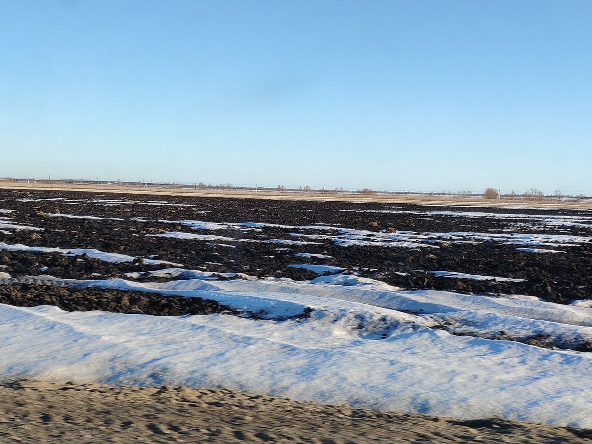 Сединки-проталинки на полях