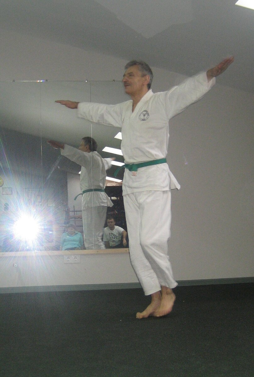 Владимир Черемисинов демонстрирует технику. 2017