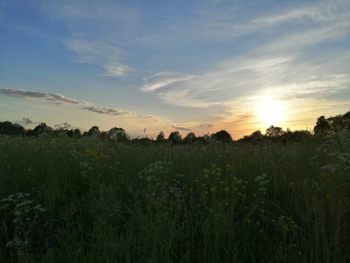 Тверская область