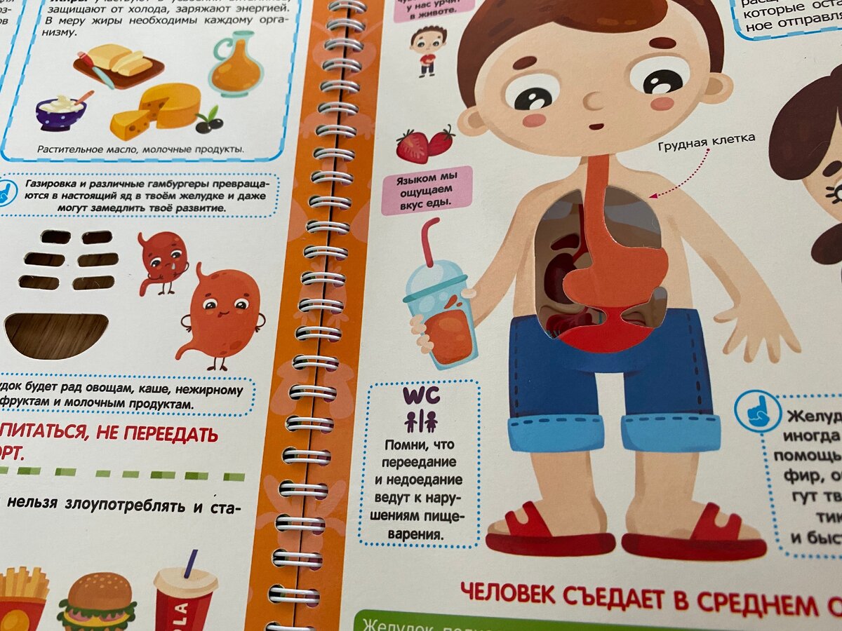 На каждом развороте вот так вырезана одна деталь