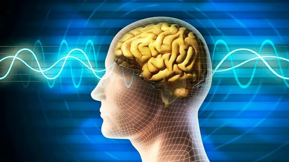 Изображение из открытого источника Яндекс Картинки.