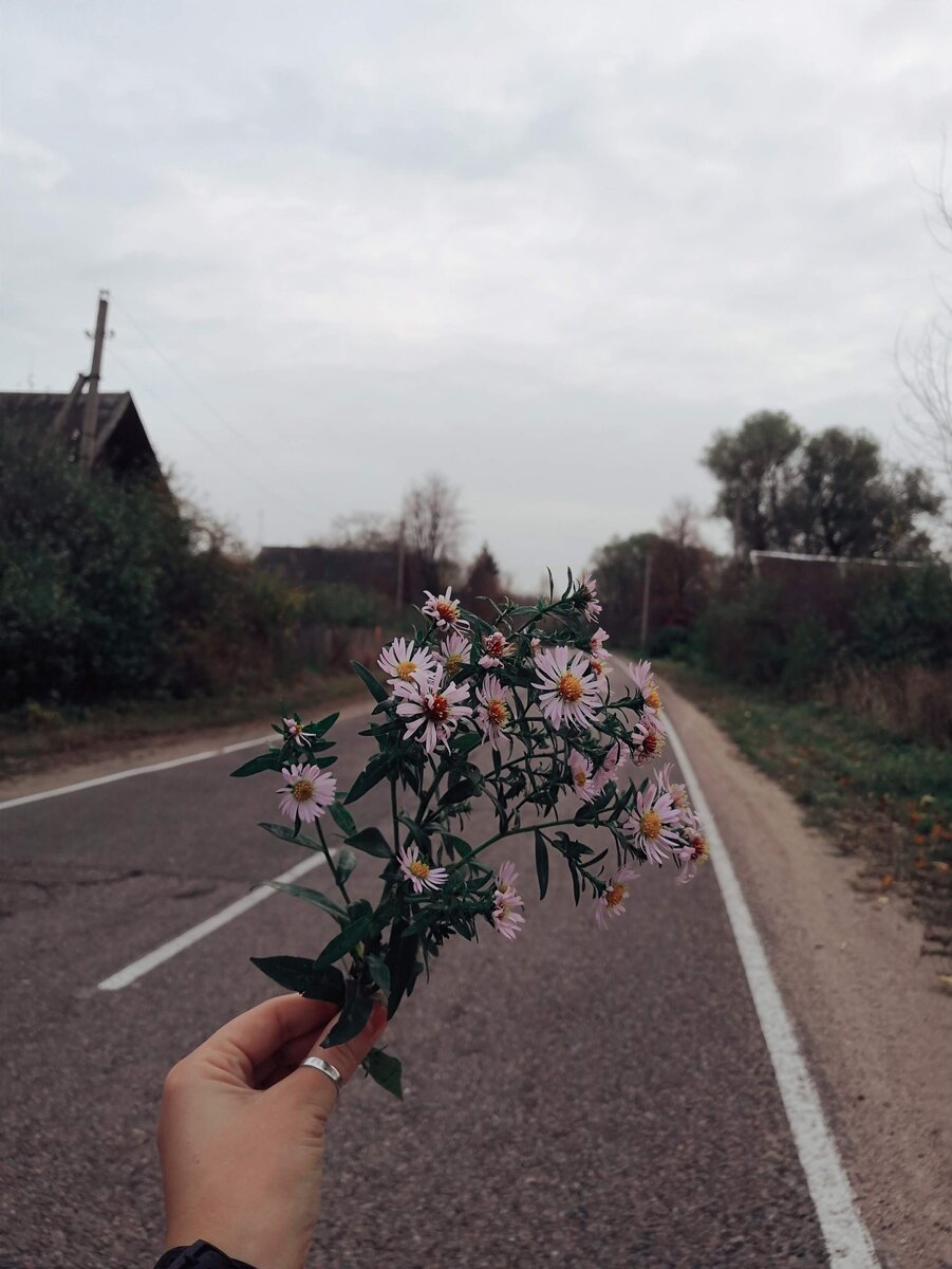 Где-то в Тверской области