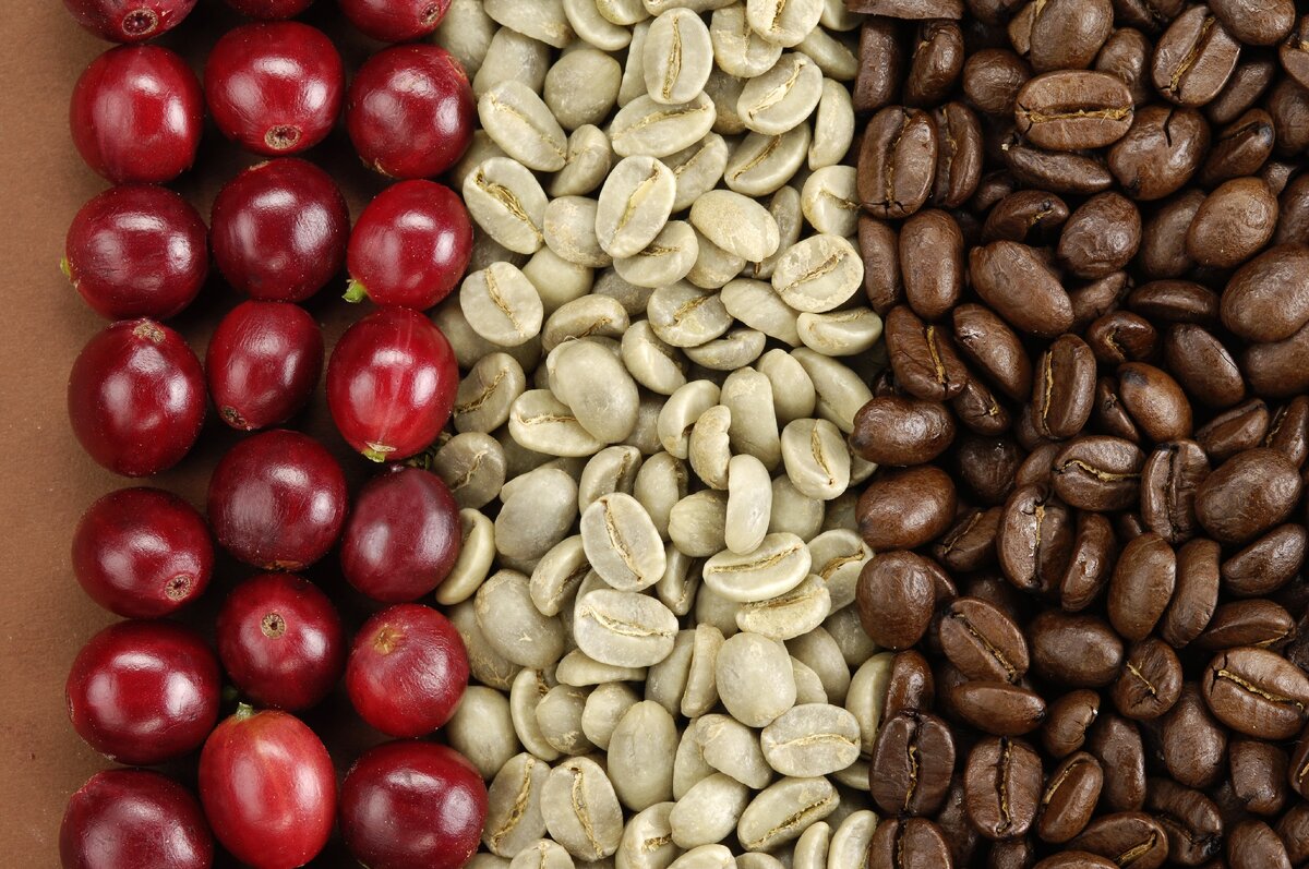 Ягоды - Семена - Обжаренные зерна