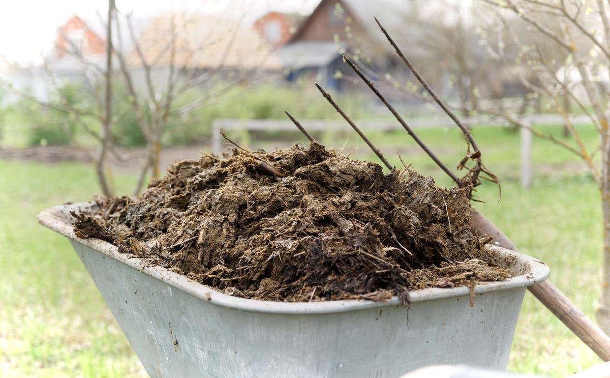 Экология и польза!