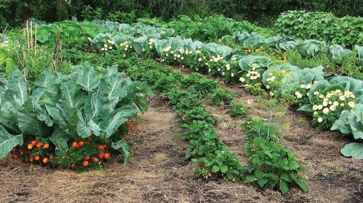 Источник фото: hozyain.by