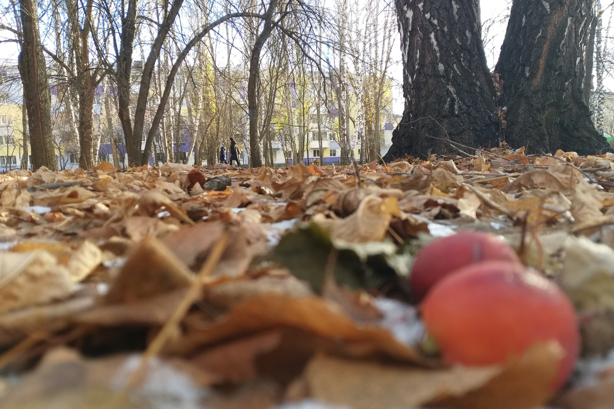 "Ловила" людей на заднем плане? :-)