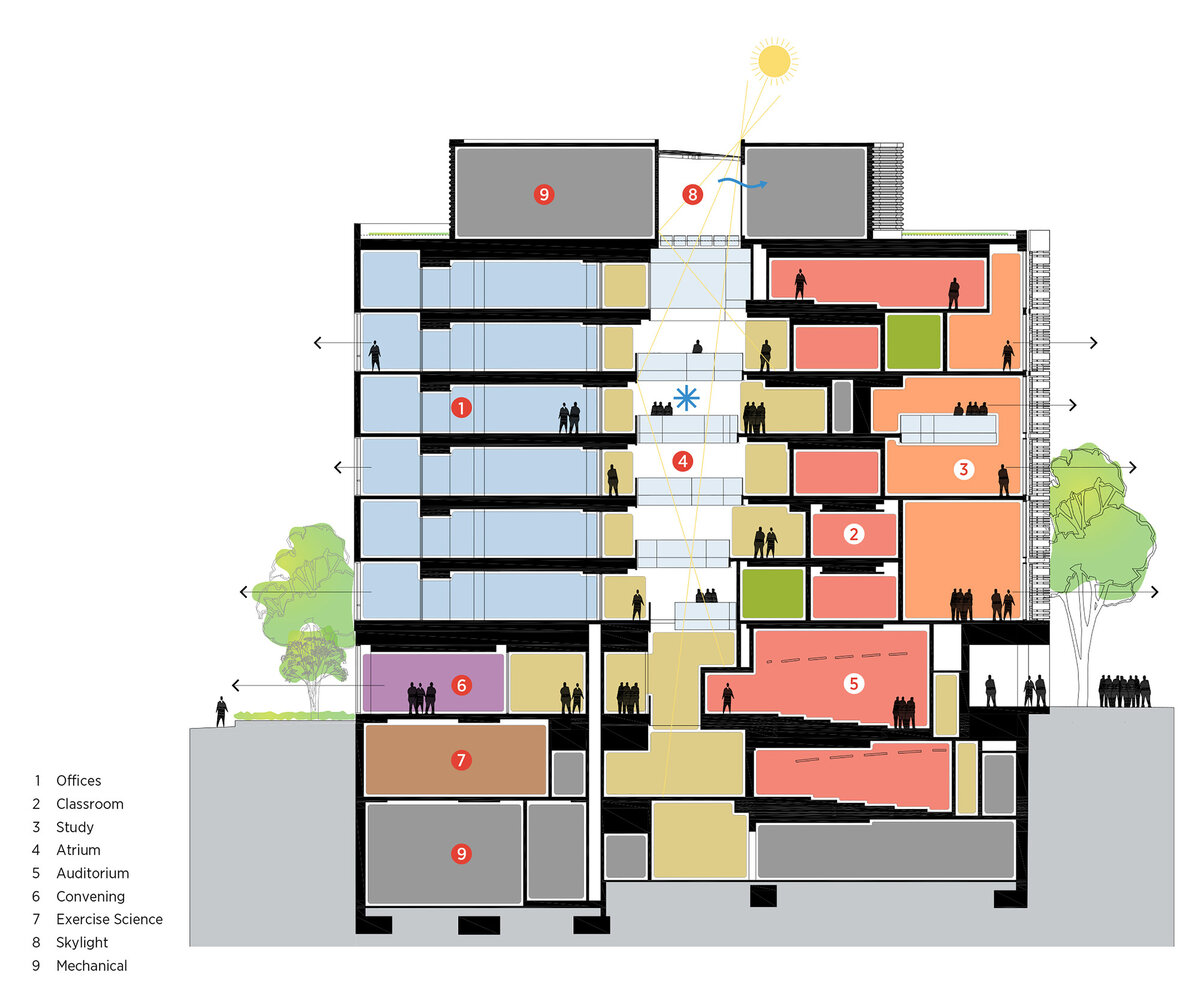 Источник: archdaily.com