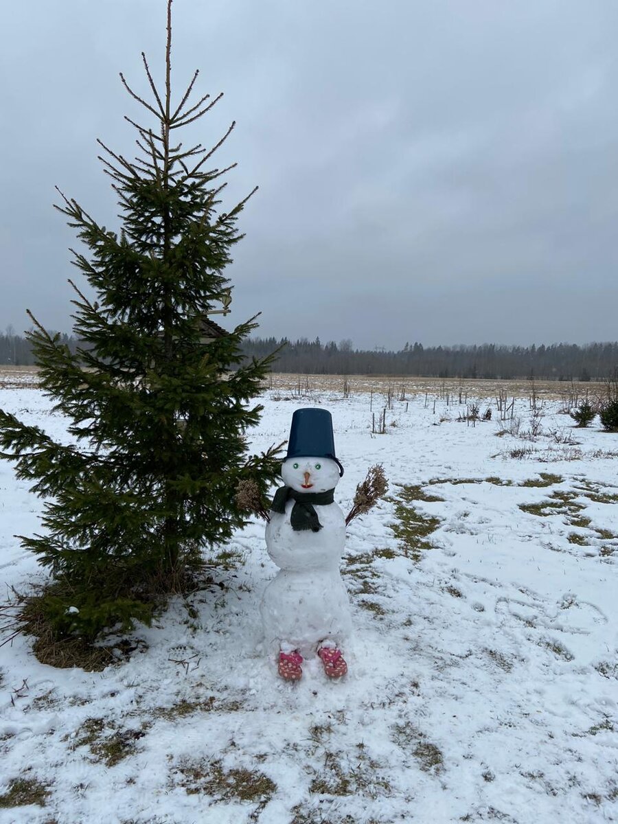 Ёлочка и снеговик ждут подарков и украшения