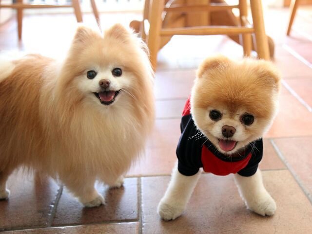 открытый источник