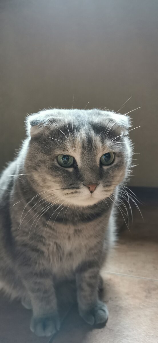 После позднего завтрака я ещё красивее 🤩