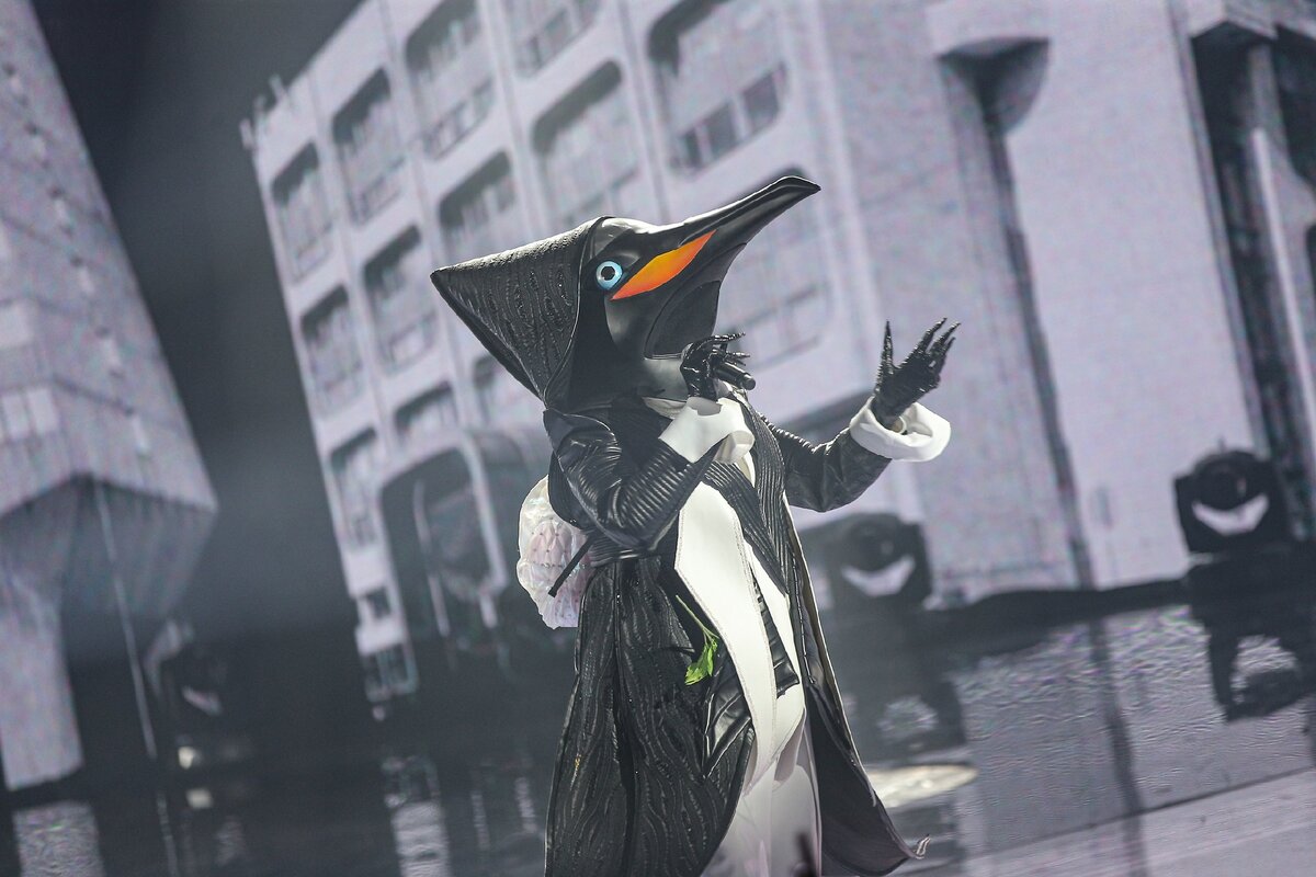 Пингвин из шоу маска. Шоу маска Пингвин снял маску. Шоу маска пингвин