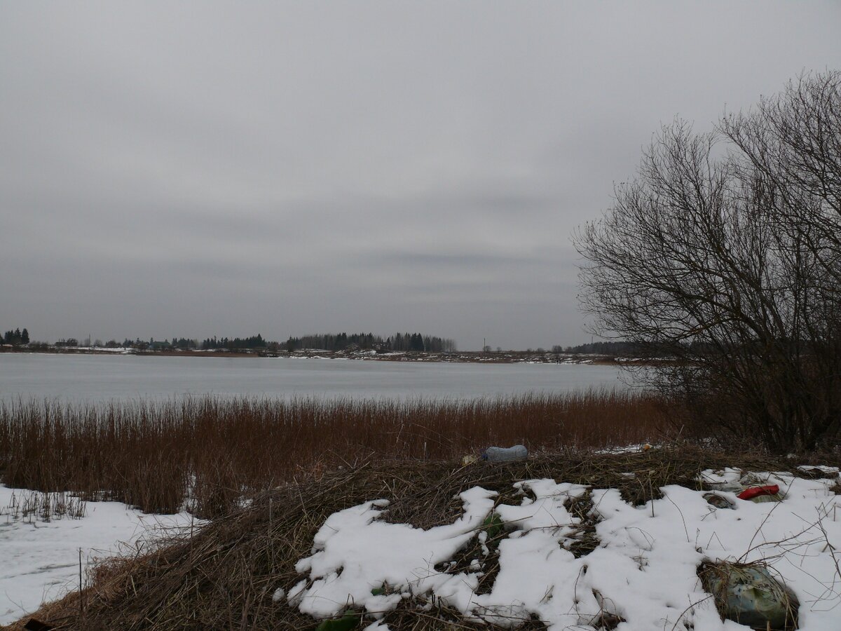 Фото из личного архива. Донцо зимой.