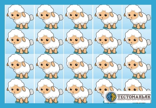 Источник: pixabay.com