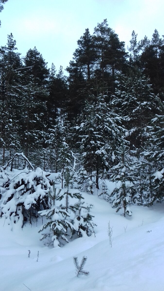 личное фото