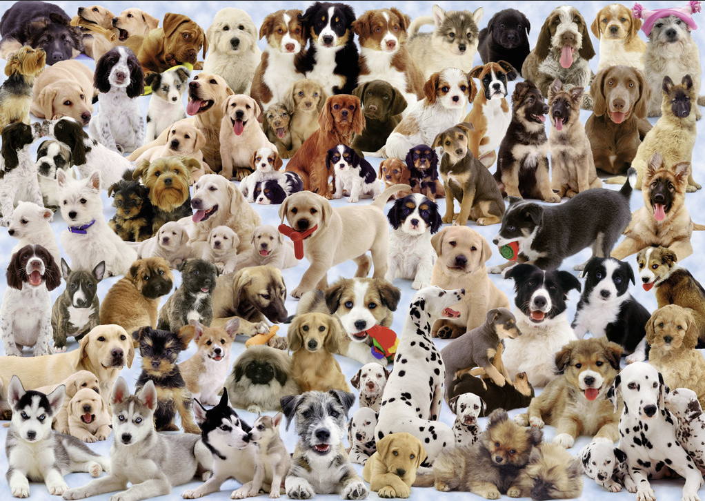 Источник картинки - https://clck.ru/UZEJP