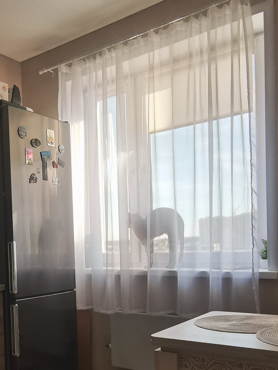 Отказались от ночных штор на кухне в пользу рулонных