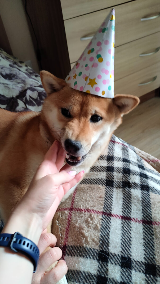 Пытается снять колпак