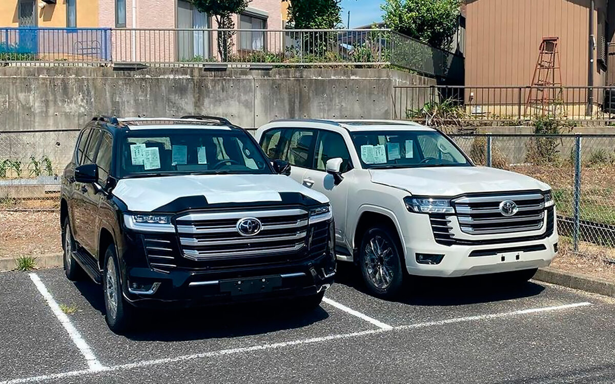 Фото: instagram.com / shomegranbill 
