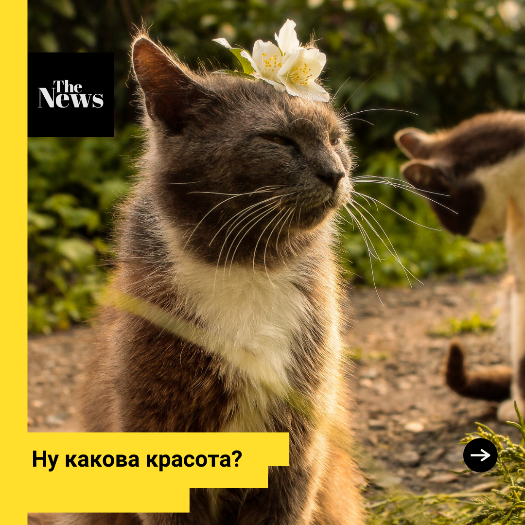 Очень красиво