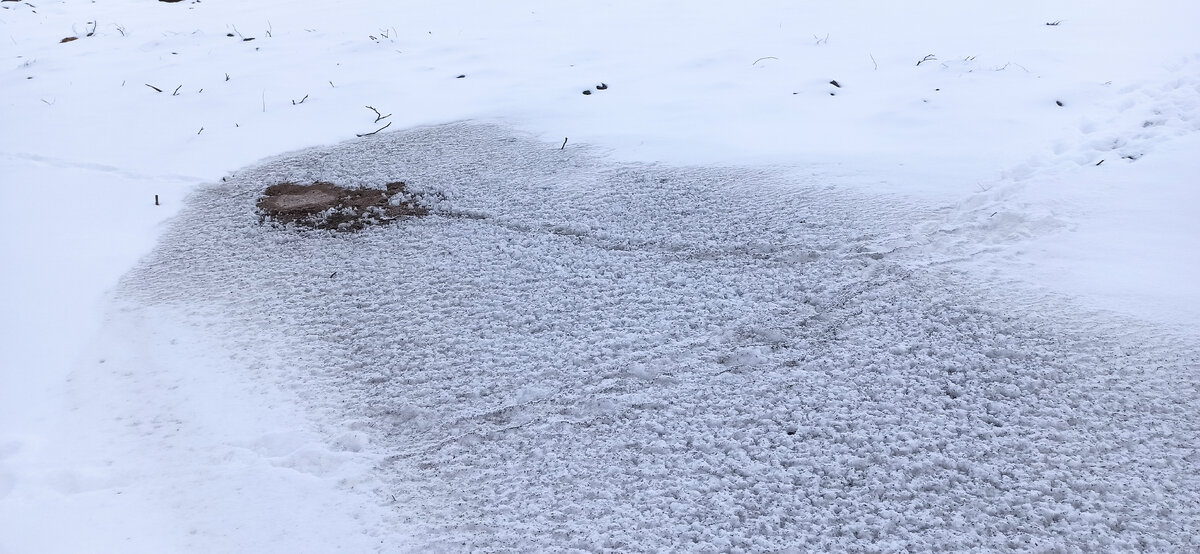 Вот так раскидываем древесную золу и пищевые остатки на будущую гряду чесночную