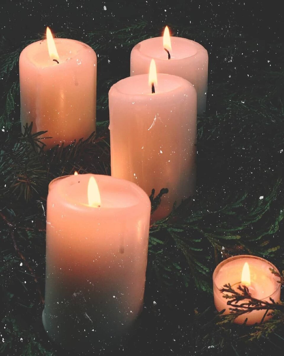 Фото взято из открытого источника 