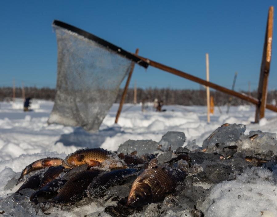 Фото: inyakutia.ru