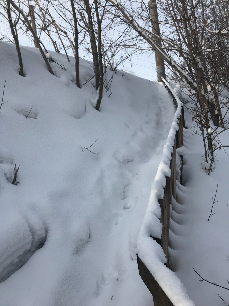                            Лестница, ведущая к железнодорожной платформе