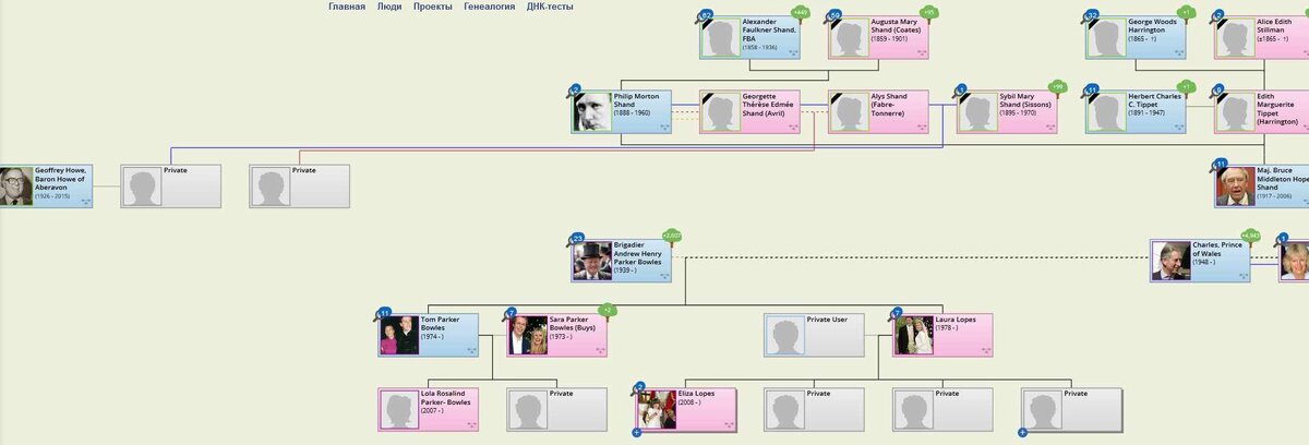 Генеалогическое дерево со стороны отца: Shand