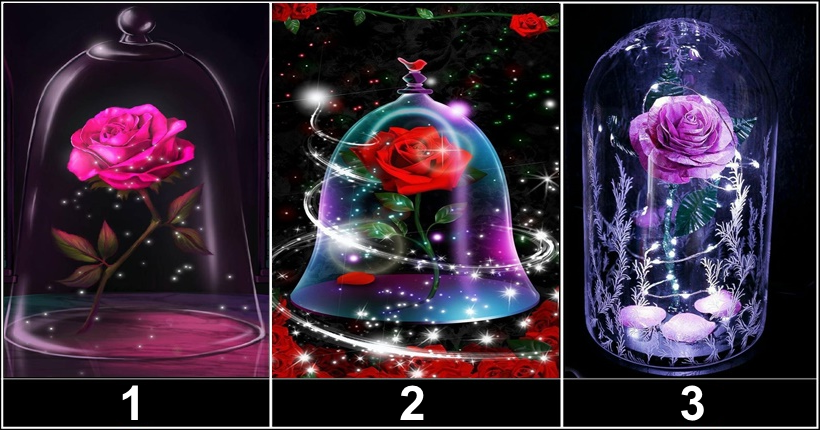 Откройте глаза и выберите одну розу судьбы