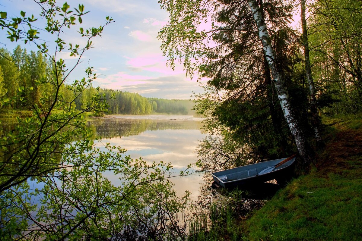 Фото: Сергей Сыродоев
