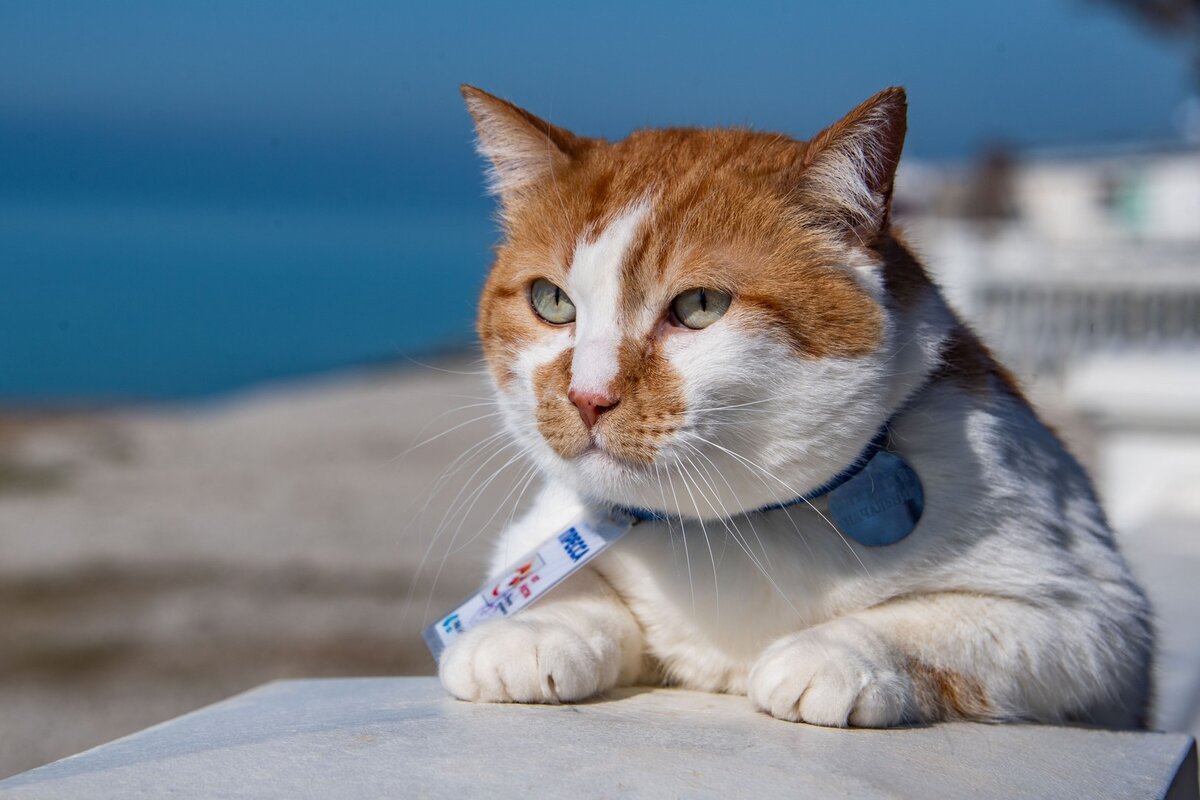 Навстречу приключениям!