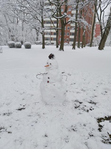 Снеговик с 3мя руками.