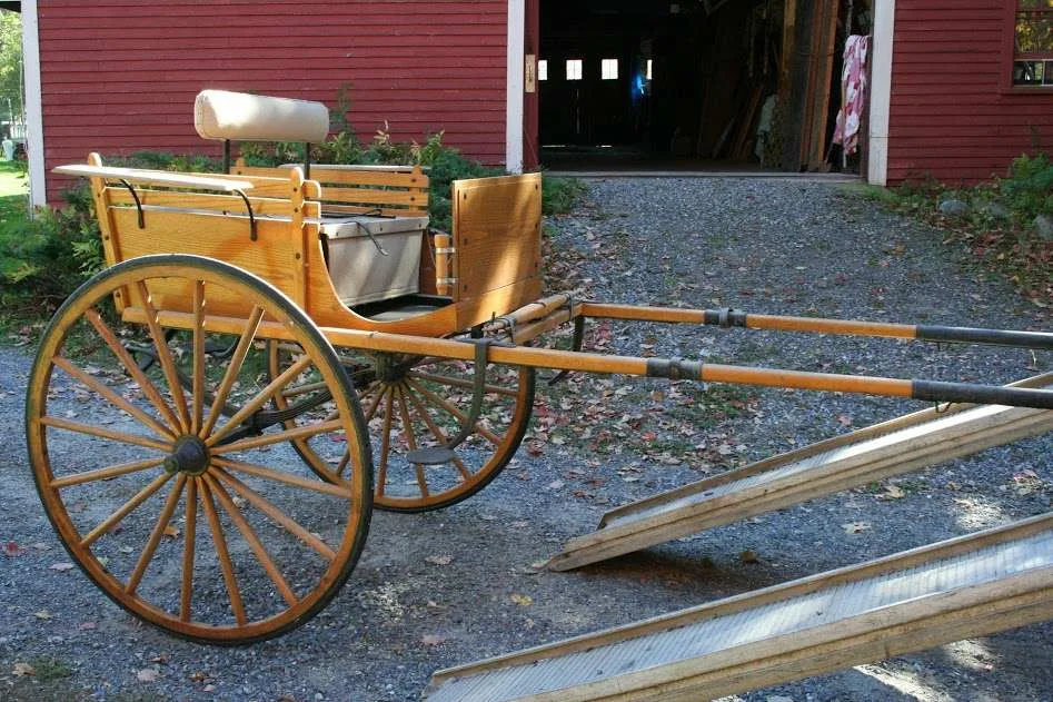 Шарабан мой американка. Шарабан 19 век Россия. Шарабан американка. Старый Шарабан. Шарабан для лошади.