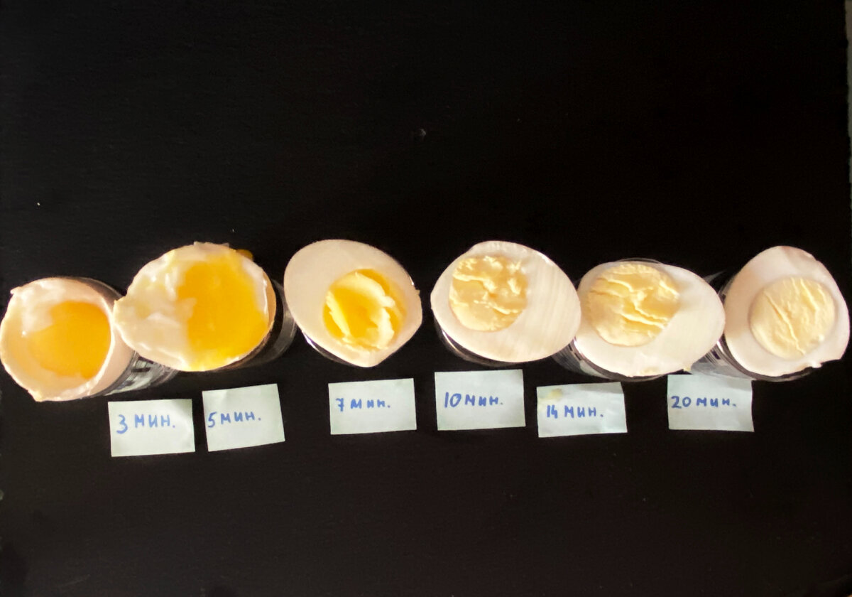 Сколько варить яйца и степень их готовности | На кухне у Маруси | Дзен