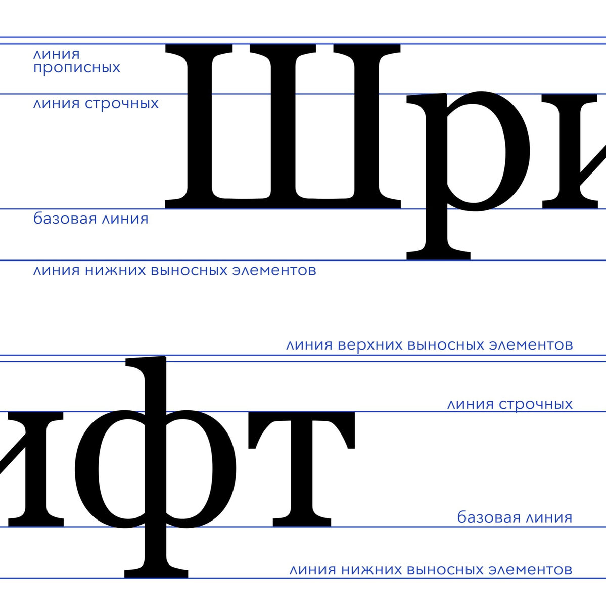 📝Шрифт является одним из главных инструментов графического дизайна, поэтому так важно знать строение букв и типографическую терминологию.-2
