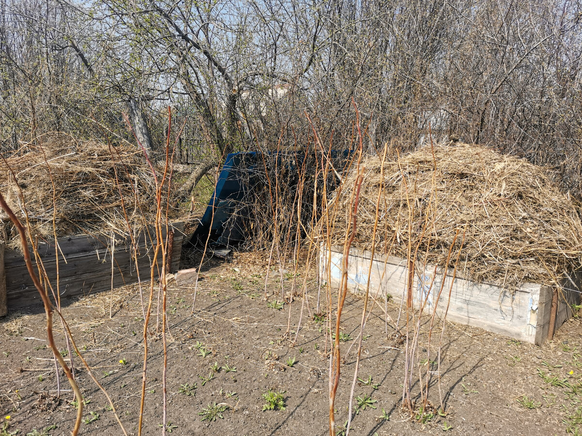 Это хватит на пару небольших теплый грядок