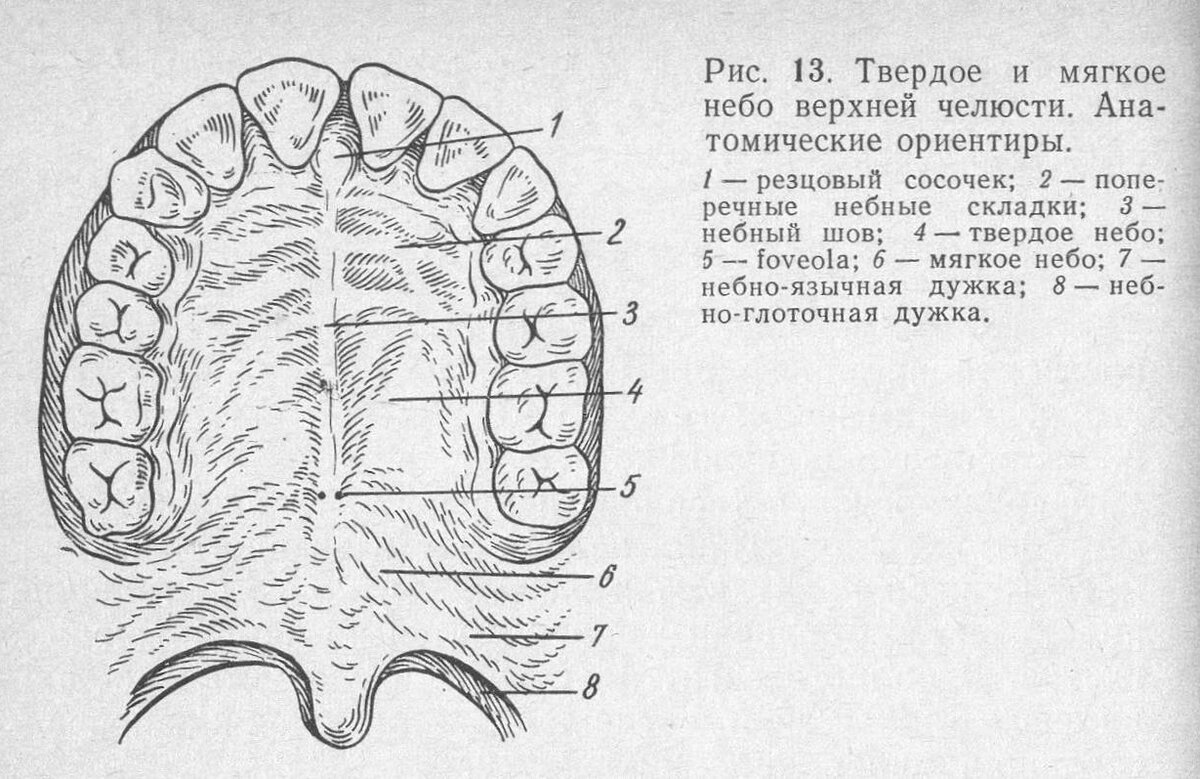 Небо мягкое и твердое схема