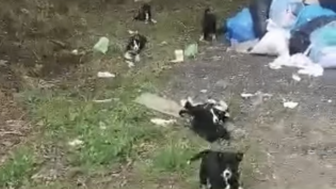 -2-2