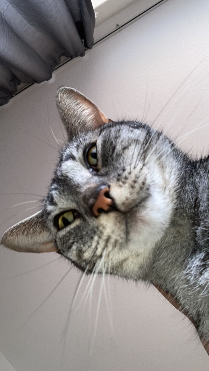 Источник:  https://www.boredpanda.com