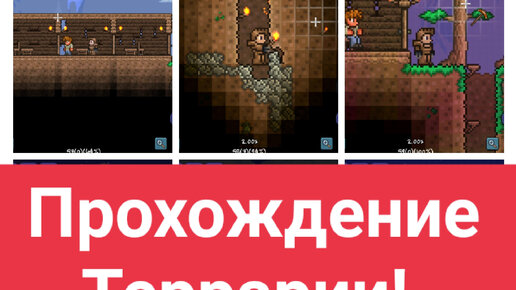 Крылья — Официальная Terraria Wiki